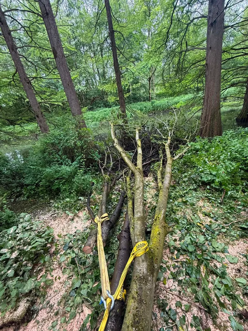 Gevelde boomstammen aan de waterkant, vastgesnoerd met gele hijsbanden