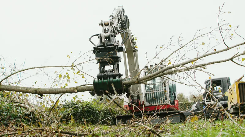 Kraangrijper met een gevelde boomstam tegen de lucht
