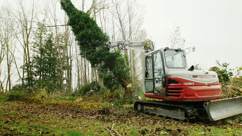 Telekraan tilt een volwassen boom op de Luminus-site in Gent
